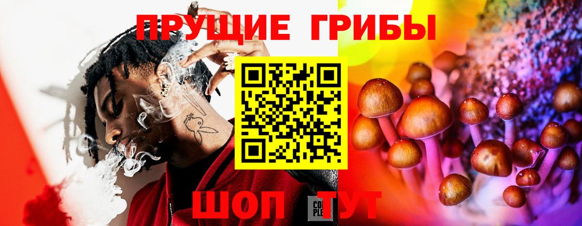 Галлюциногенные грибы Psilocybe  Галлюциногенные грибы GOLDEN TEACHER  Братск  Вход с VPN 